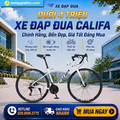 Dưới 4 triệu mua xe đạp đua nào tốt?