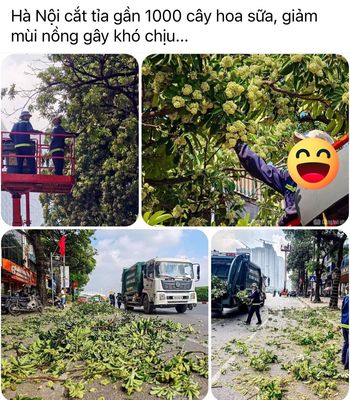 Tốn tiền trồng cây