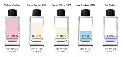 Heres-the-Difference-Between-EDT-EDP-and-EDC-in-Duty-Free-Perfumes.png