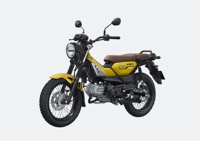 Mua cái xe mà sao khó khăn quá vậy? Chỗ nào cũng hết hàng. Một vài chỗ có thì không có màu mình...