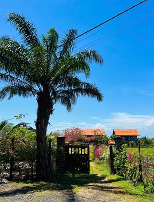 Bạn đang tìm Villa biến nghỉ dưỡng cho chuyến du lịch hè? Biển Hồ Tràm chỉ cách TpHCM hơn 2 tiếng...
