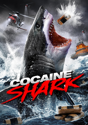 Screenshot 2025-11-13 091718.png