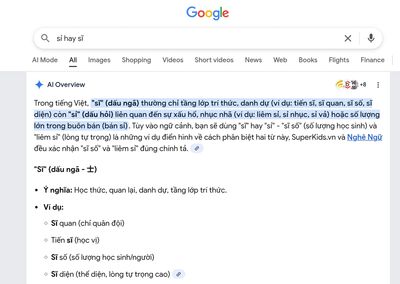 Thằng người Việt đi hỏi thằng người Mỹ về ngữ pháp tiếng Việt :-)