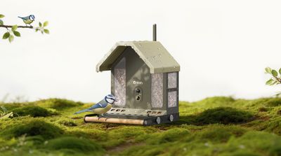 Birdfy mang đồ chơi ngắm chim tích hợp AI đi IFA 2026