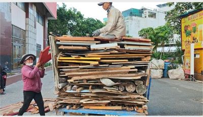 Nhìn mấy tấm ván thông bản 22cm rời đi mà lòng tiếc núi vô cùng...
