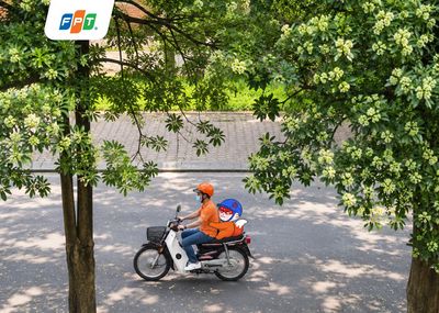 Tháng 10 hoa sữa nở đầy cây,