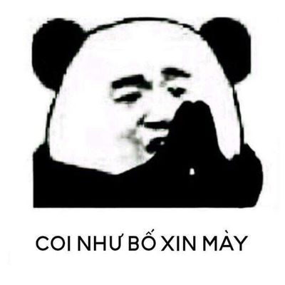 coi như bố xin mày.jpg