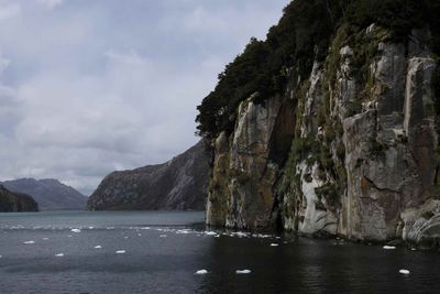 tinhte-cong-vien-quoc-gia-chile (1).jpg