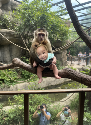 Chúc toàn thể a e năm mới vui vẻ ko bị gẻ nha