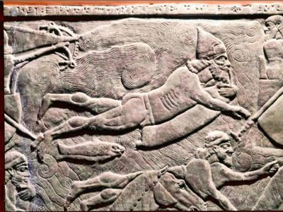 Trong ảnh là bức phù điêu có niên đại khoảng 3.000 năm, thuộc thời Đế quốc Tân Assyria (khoảng...