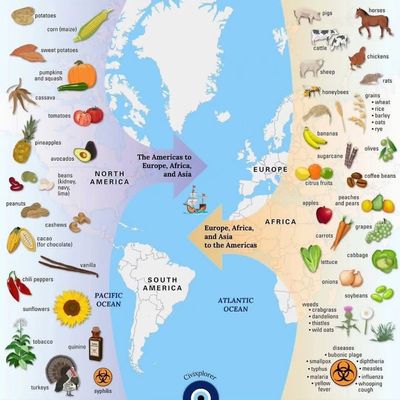 Mình vừa tìm thấy 1 tấm ảnh cho thấy những nguyên liệu mà ta quen thuộc được du nhập từ lục địa...