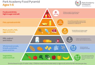 xpark-academy-food-pyramid.jpg.pagespeed.ic.qwz0JGZ6KM.jpg