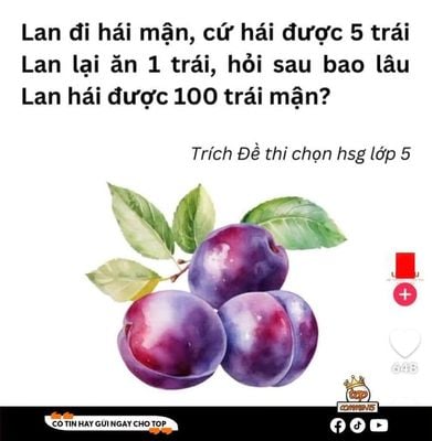 THƯƠNG LAN SỐ PHẬN LONG ĐONG, BỮA ĐẠP XE VÀI NGÀN CÂY SỐ ĐẾN TRƯỜNG, NAY LAN ĐI HÁI MẬN.