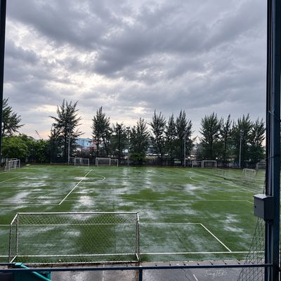 Mà thôi CHỐT, lúa về.