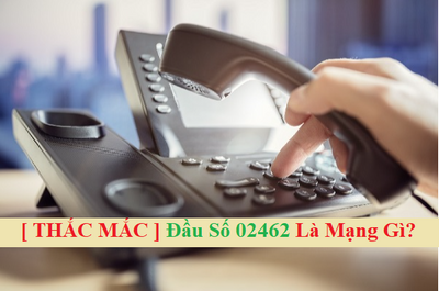 Tính Phổ Biến Của Đầu Số 02462 Ở Việt Nam