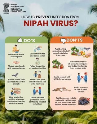 Bùng phát virus chết người tại Ấn Độ: nghi do dơi là vật chủ