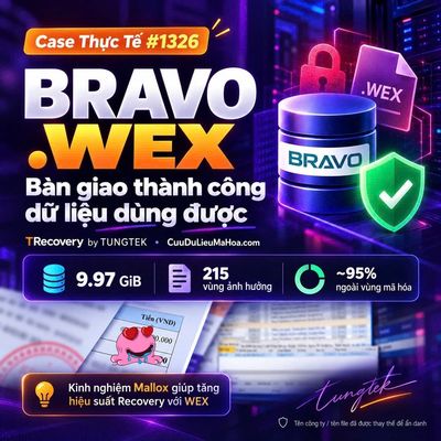 Niềm vui bàn giao Database BRAVO sau sự cố mã hóa .WEX của Ticket 1326.
