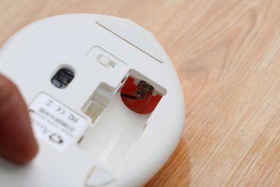 Chuot-khong-day (7).jpg