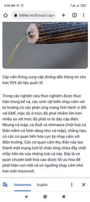 Screenshot_2023-03-22-09-40-55-826_com.android.chrome.jpg