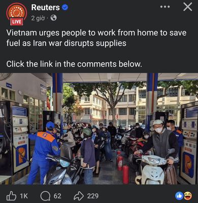 Lên trang rêu tơ lun