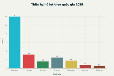 Biểu đồ cột dưới đây hiển thị thiệt hại kinh tế ước tính mới nhất (tỷ USD) do mưa lũ 2025 ở Đông...