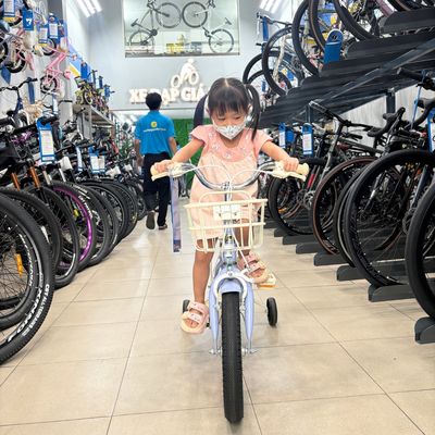 Xe Đạp Bé Gái Chính Hãng, Giá Rẻ Giao Hàng Nhanh