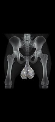 Đôi lúc anh em quên mất là anh em có hàng quý trong người