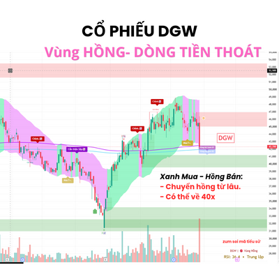 Lí do cổ phiếu DGW sàn!