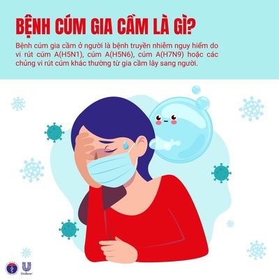 Những điều cần biết về bệnh cúm gia cầm lây sang người
