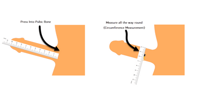 measure-penis-size-correctly.png