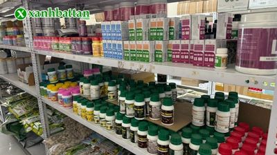Xanh Bất Tận - Cửa hàng chuyên cung cấp các sản phẩm: Phân bón chăm sóc cây, hạt giống cây trồng,...