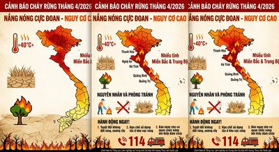 Nguy Cơ Cháy Rừng Cực Kỳ Nguy Hiểm