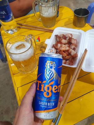 Hôm nay thịn đa nhân cách lồng lộn nhắn tin gạ quá trời