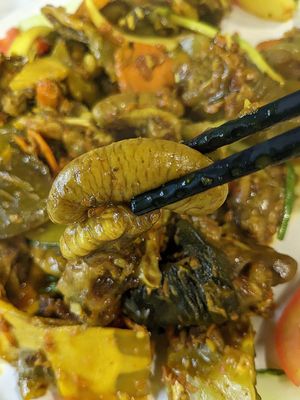 Cụ rùa già nhất thế giới: sinh từ thế kỷ 19, vừa đạt 191 tuổi