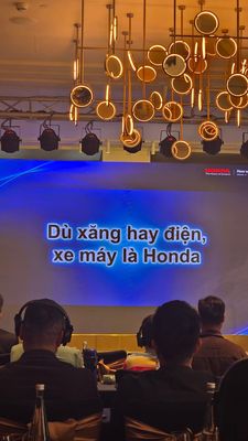 Vậy Vinfast là xe gì anh em nhỉ?