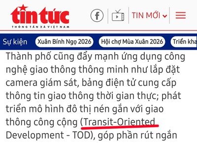 Ngu thích chơi chữ, bệnh phổ biến.