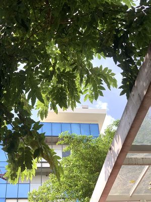 nắng hạ