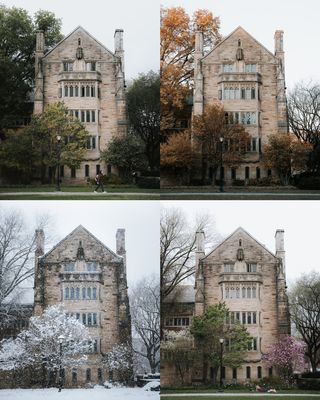 Hãy cùng chiêm ngưỡng một góc nhìn, bốn mùa thay lá tại Berkeley College qua ống kính đầy tài hoa...