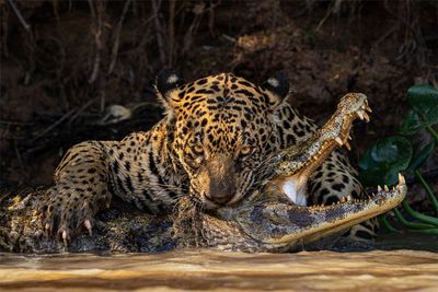 8284102-2024-Sony-World-Photography-Awards-tinhte-7.jpg
