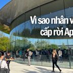 Vì sao các giám đốc cao cấp Apple di cư qua chỗ khác ?