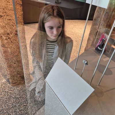 Một viên đá bình thường được trưng bày ở bảo tàng