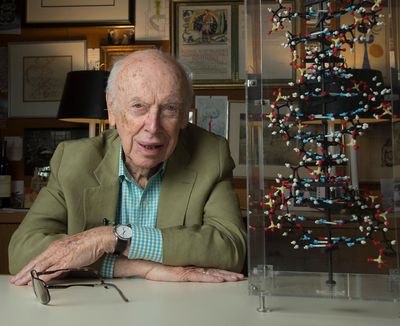 James Watson, người đã góp phần khám phá ra cấu trúc xoắn kép của ADN, vừa qua đời. Công trình...