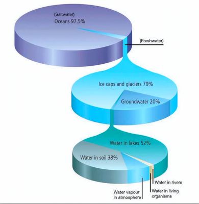 Phân phối nước trên Trái đất