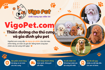 Hay nha https://tinhte.vn/thread/cham-soc-thu-cung-toan-dien.4169545/