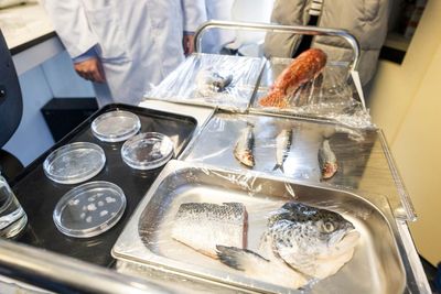 tinhte-giac-mac-vay-ca (3).jpg