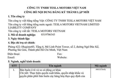 Tesla chính thức mở DN tại Việt Nam, vốn điều lệ gần 77,7 tỷ đồng