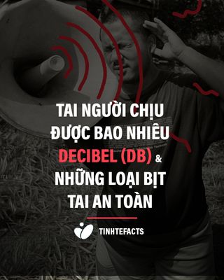 Hiện tại thính giác của mod Vương DIY chỉ còn khoảng 70% so với ban đầu và mức chịu đựng tiếng ồn...