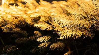 Dạo này thèm cái nắng giòn tan để vi vu, ngắm cảnh chứ Đà Nẵng trời cứ mưa, âm u miết