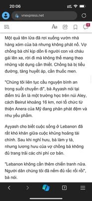 Lebanon không cần chiến tranh nhưng Hezbollah thích chiến tranh và thích rắc rối.