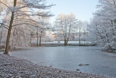 Mùa đông tại trường Đại học Warwick - UK